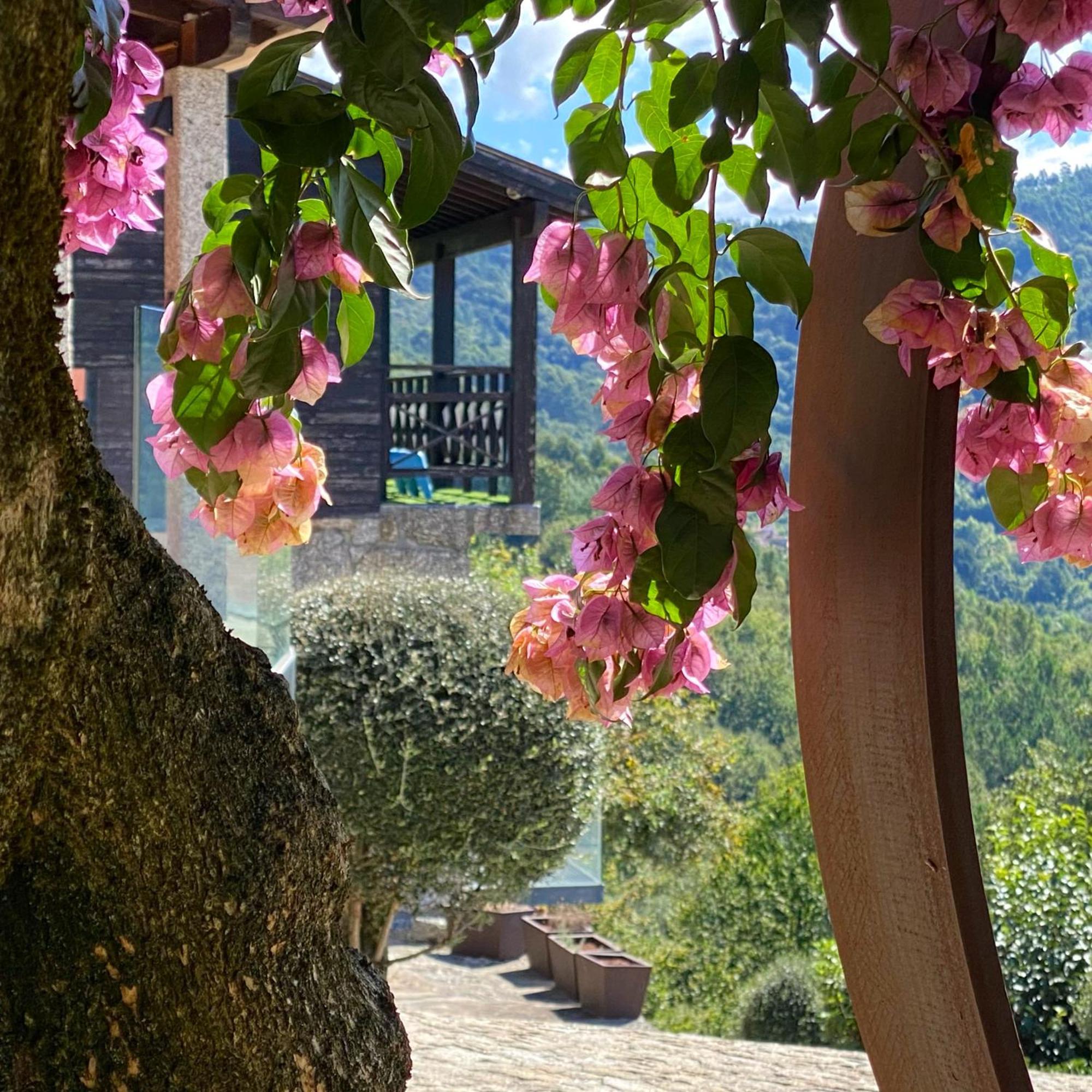 Quinta Cercas Da Costa Villa Vieira do Minho Luaran gambar